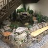 Indoor Oasis in Westlock