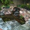 Pond Renovation